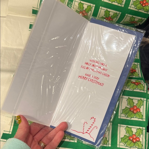 Festive Santa HO HO HO RAINBOW Holiday greeting card! Rainbow & Candy Canes - Picture 9 of 11